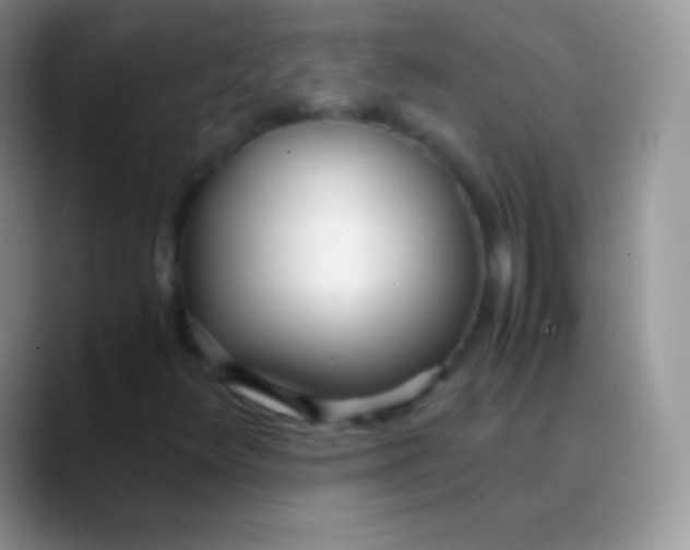 X0000089871348200707191931