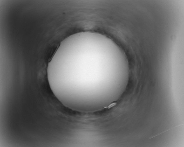 X0000089871349200707191931