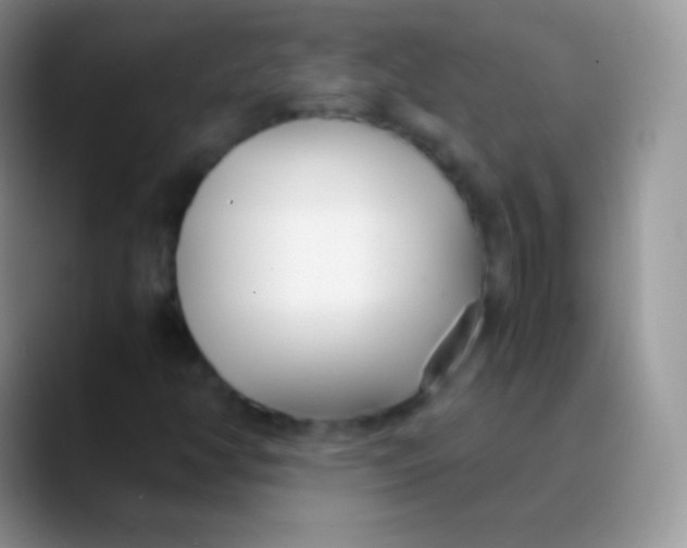 X0000089871350200707191931