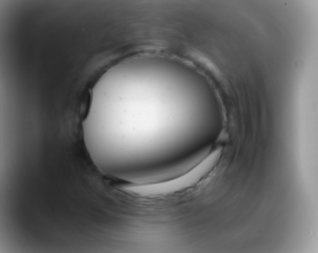 X0000089871352200707191931