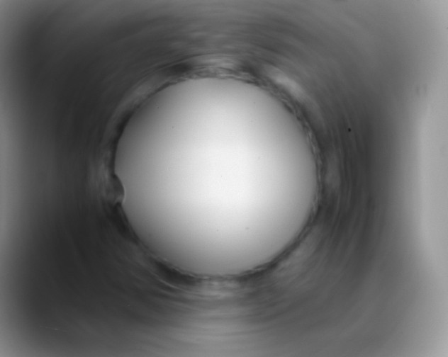 X0000089871354200707191931