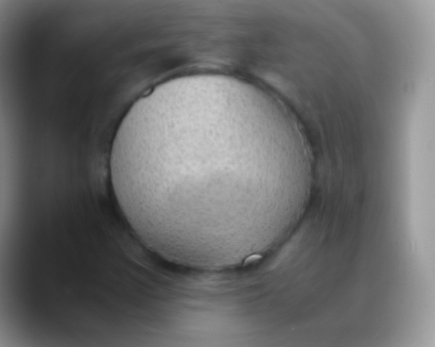 X0000089871355200707191931