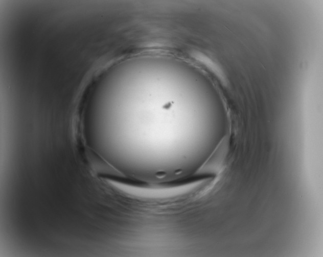 X0000089871357200707191931