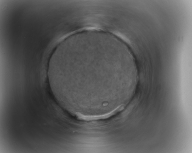 X0000089871359200707191931