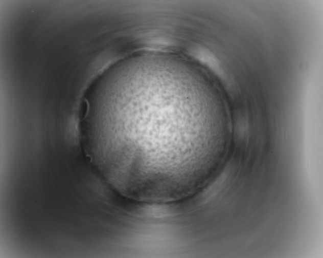 X0000089871362200707191931