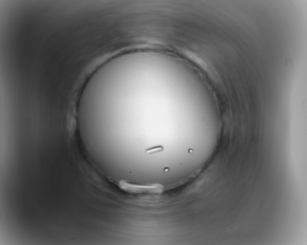 X0000089871363200707191931