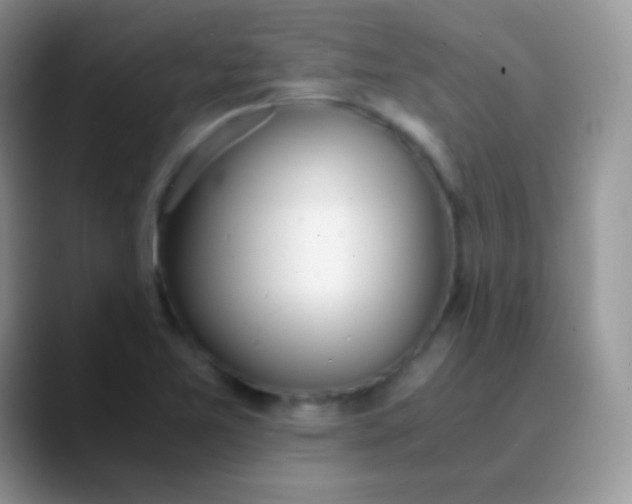 X0000089871365200707191931