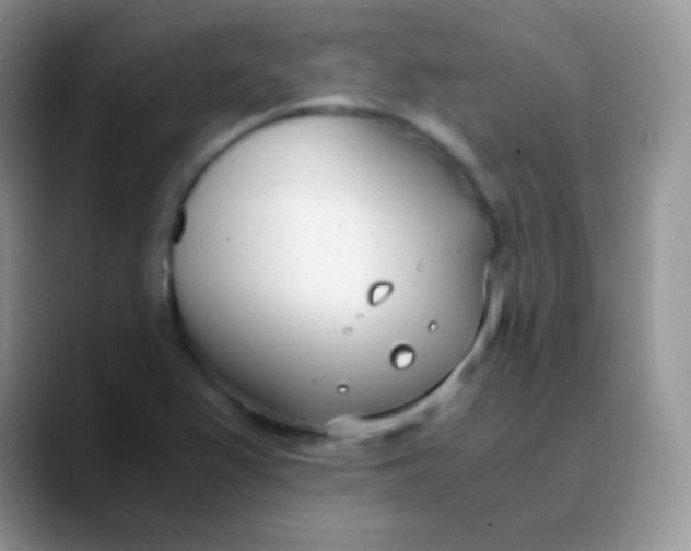 X0000089871367200707191931