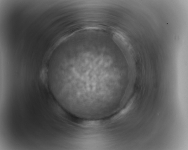 X0000089871369200707191931