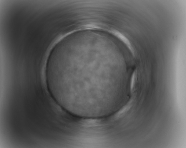 X0000089871373200707191931