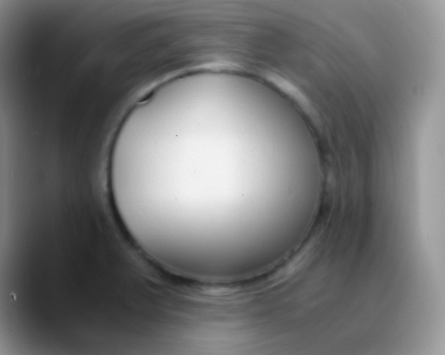 X0000089871375200707191931