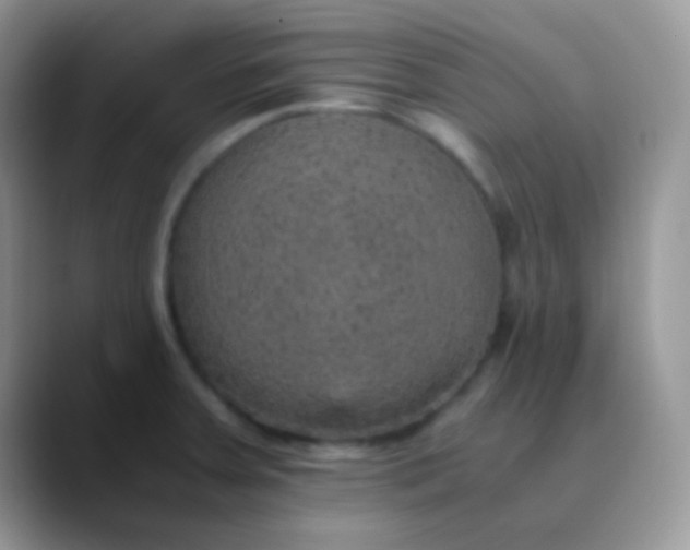 X0000089871379200707191931