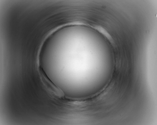 X0000089871380200707191930