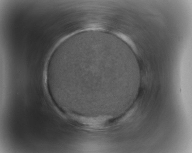 X0000089871383200707191930