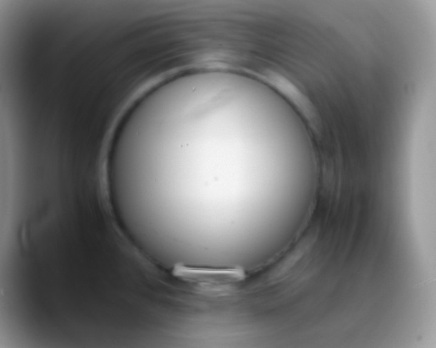 X0000089871384200707191930