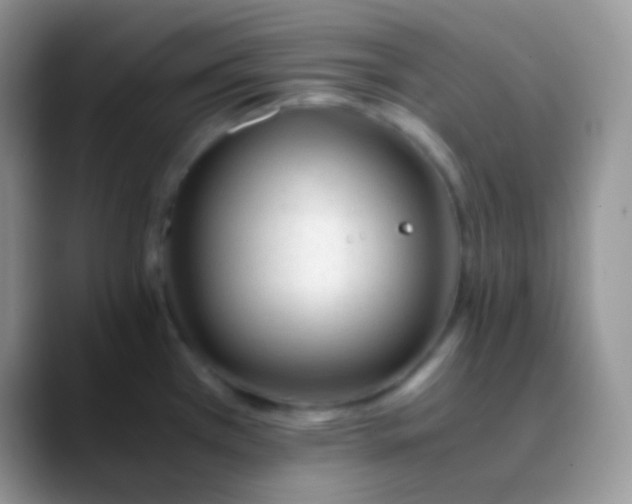 X0000089871385200707191930