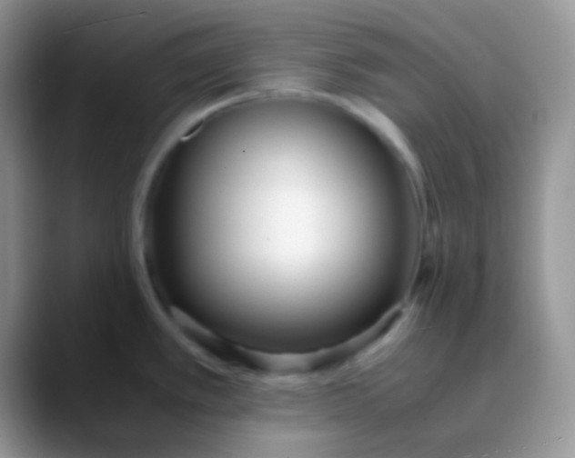 X0000089871389200707191930