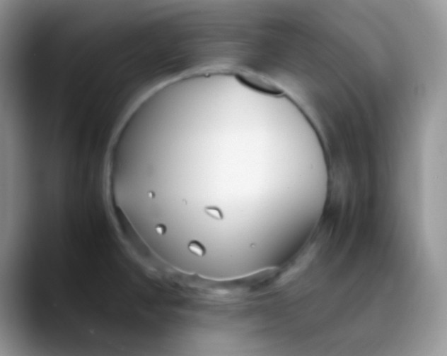 X0000089871390200707191930