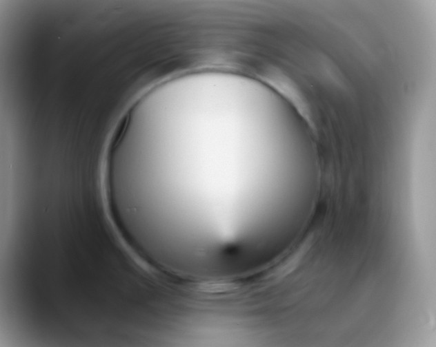 X0000089871391200707191930