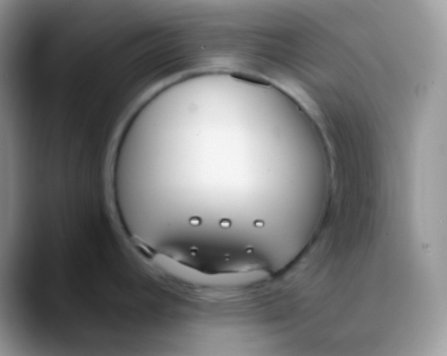 X0000089871392200707191930