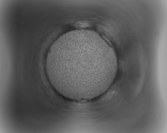 X0000089871393200707191930