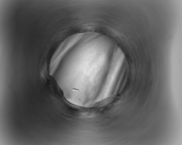 X0000089871394200707191930