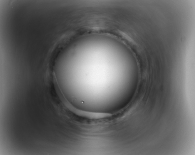 X0000089871398200707191930