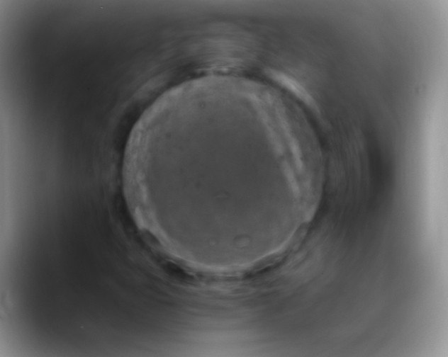 X0000089871399200707191930