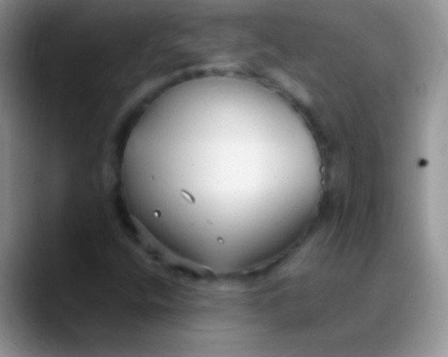 X0000089871400200707191930