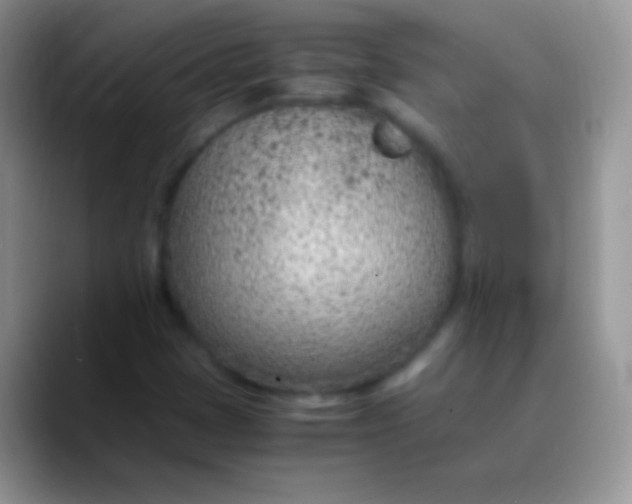 X0000089871401200707191930