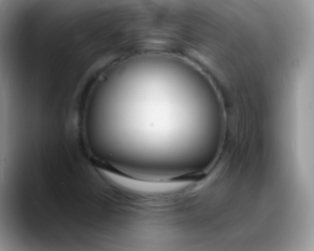 X0000089871402200707191930