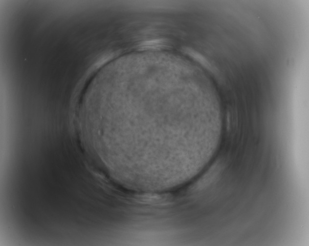 X0000089871405200707191930