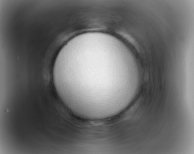 X0000089871407200707191930