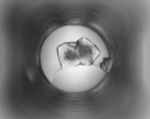 X0000089871409200707191930