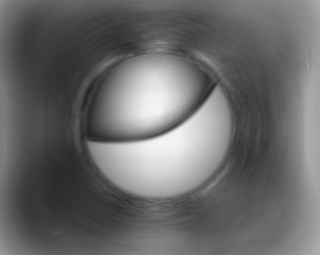 X0000089871410200707191930