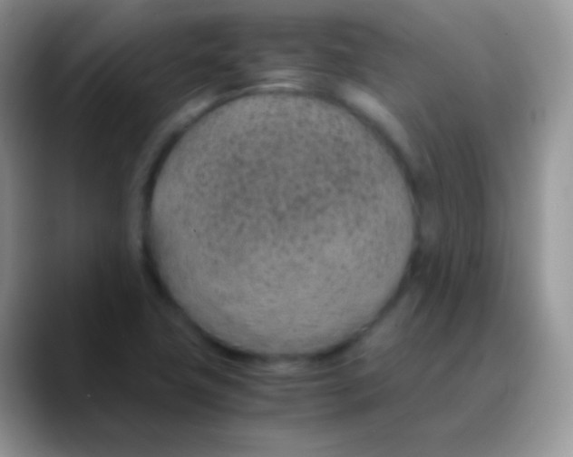 X0000089871411200707191930