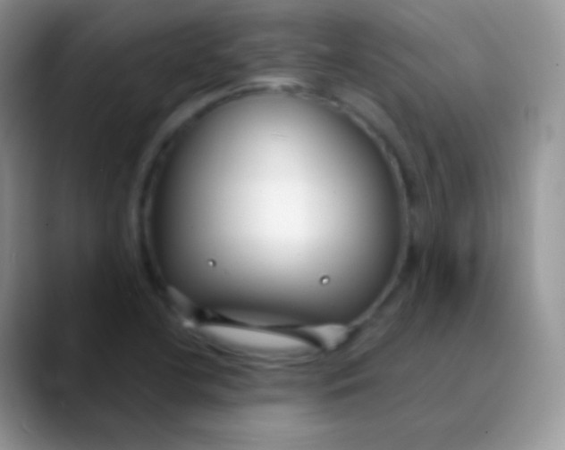 X0000089871412200707191930