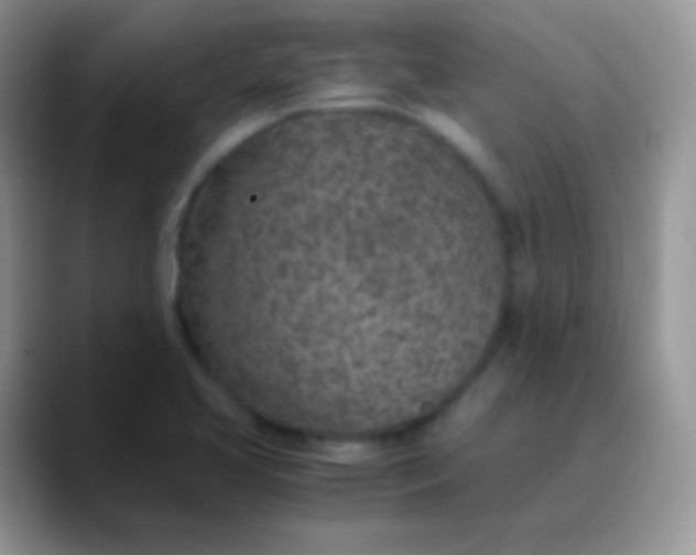 X0000089871413200707191930