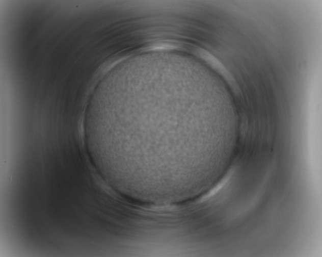 X0000089871417200707191930