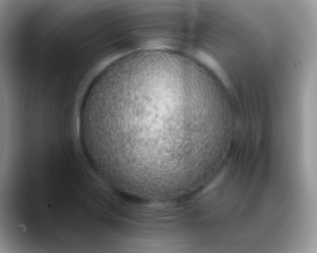 X0000089871419200707191930