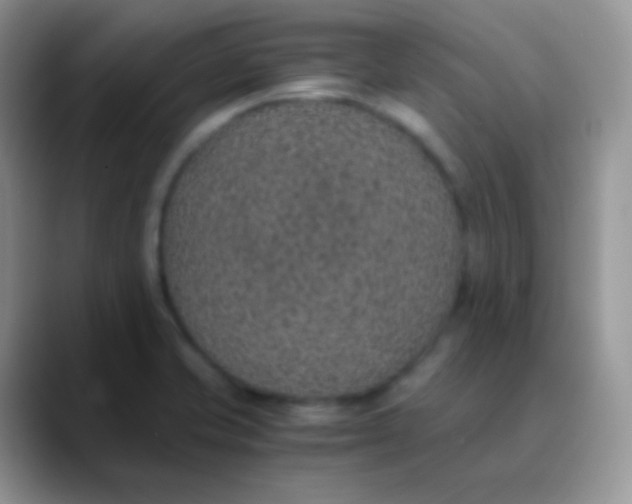 X0000089871421200707191930