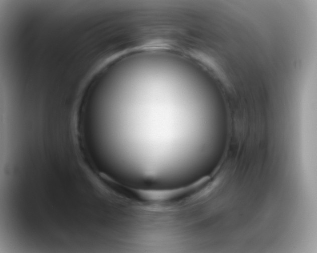 X0000089871422200707191930