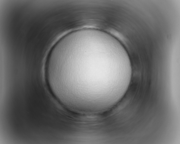 X0000089871423200707191930