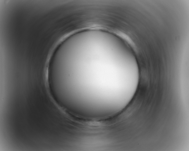 X0000089871424200707191930