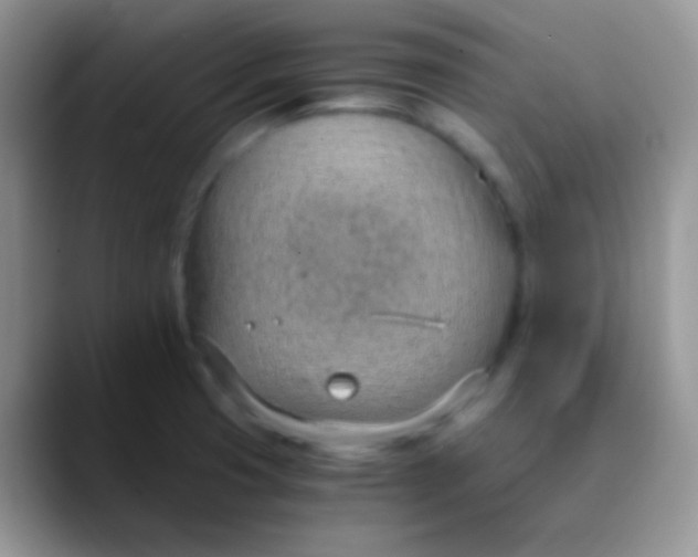 X0000089871425200707191930