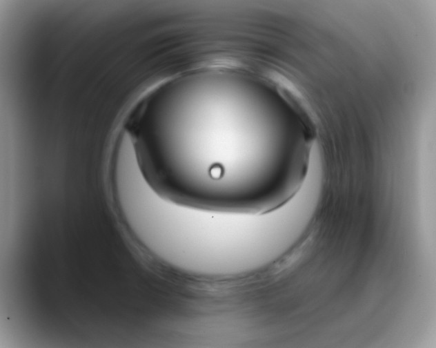 X0000089871426200707191930