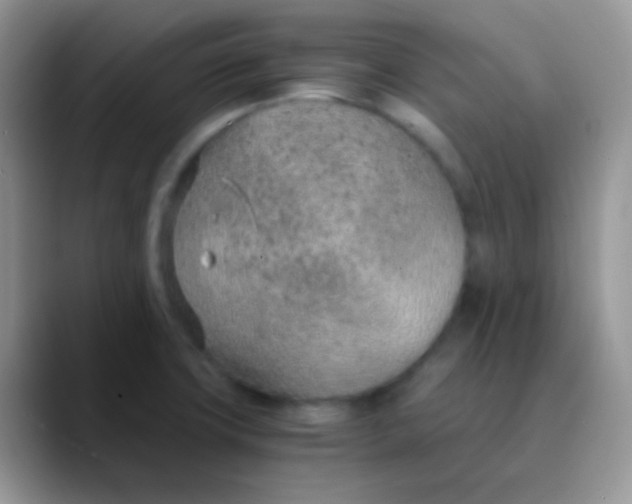 X0000089871427200707191930