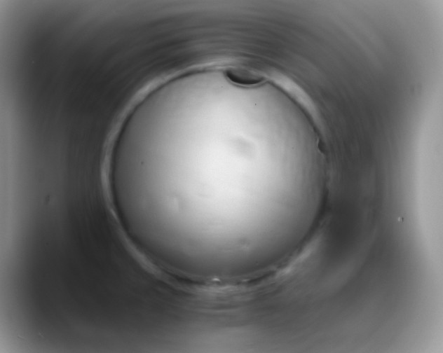 X0000089871429200707191930