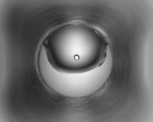 X0000089871430200707191930