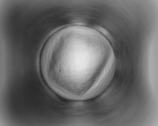 X0000089871431200707191930